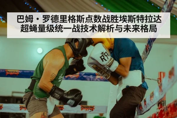 巴姆·罗德里格斯点数战胜埃斯特拉达 超蝇量级统一战技术解析与未来格局